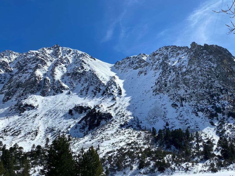276